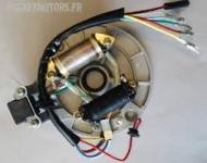 Stator