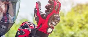 GANTS ADULTES